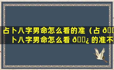 占卜八字男命怎么看的准（占 🐡 卜八字男命怎么看 🌿 的准不准）